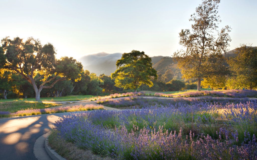 Carmel Valley Ranch Gardens & Event Lawns BFS Landscape Architects