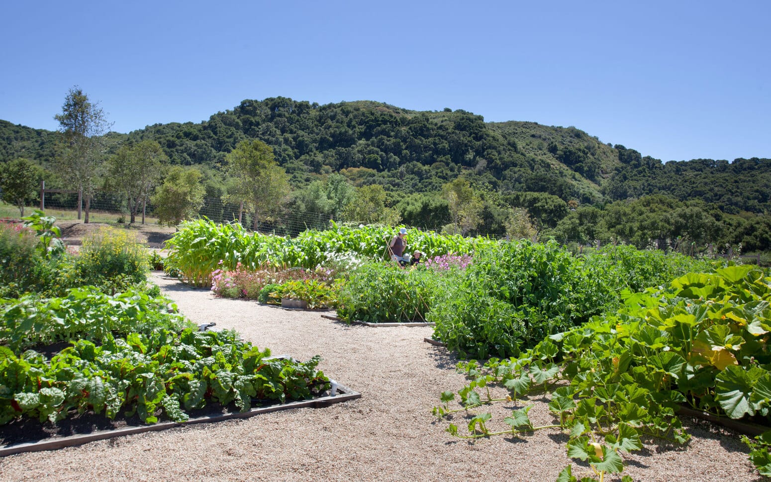 Carmel Valley Ranch Gardens and Event Lawns