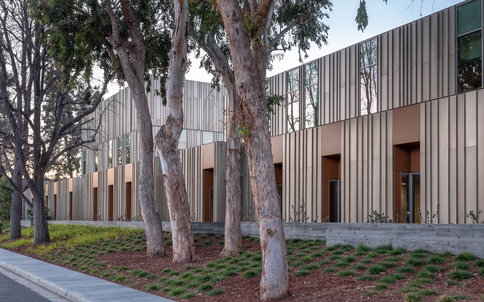 Building with a row of mature trees in front