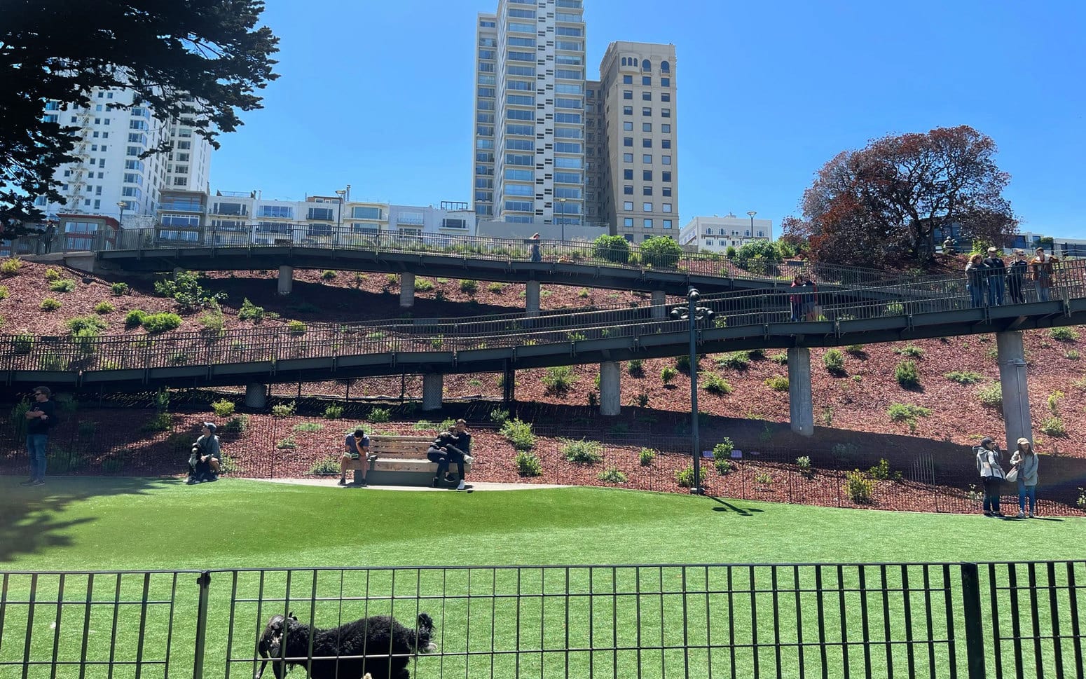 View of elevated walkways from the dog park
