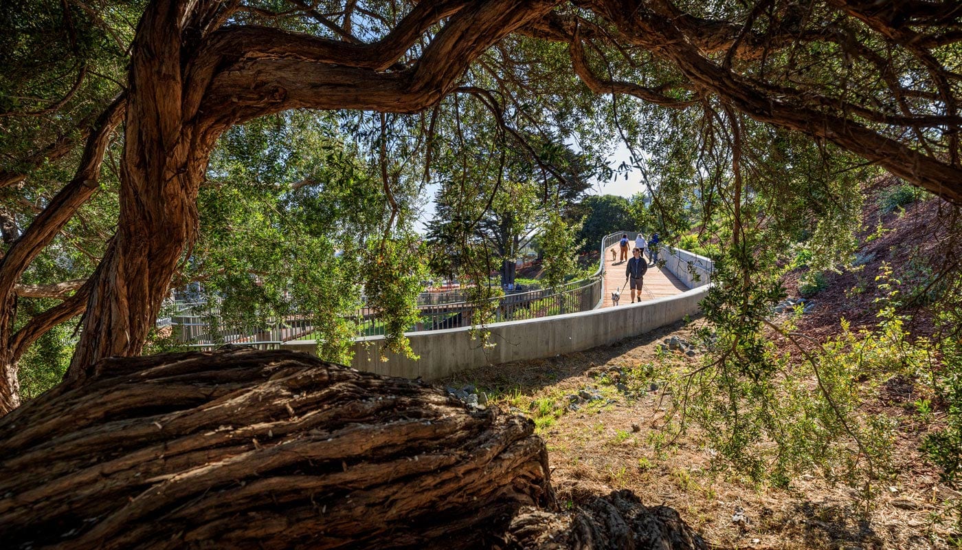 Francisco Park Walkway
